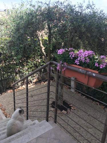 B&B L'ulivo Fiumicino