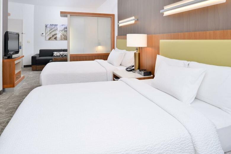 Hotel Springhill Suites Ashburn Dulles North