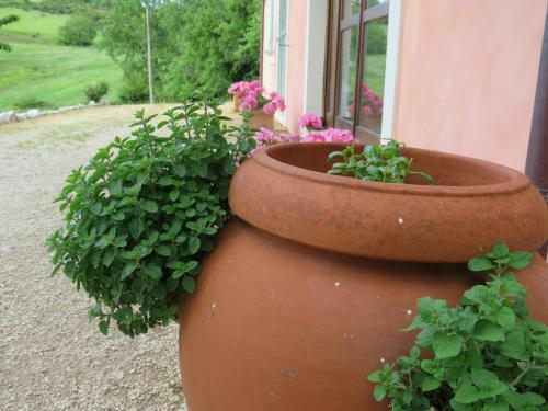Agroturismo Agriturismo San Martino