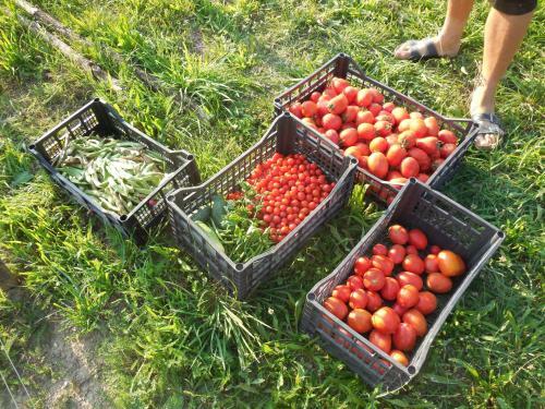 Bed & Breakfast Agriturismo Terra Selvatica