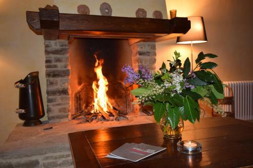 Bed & Breakfast Agriturismo Terra Selvatica