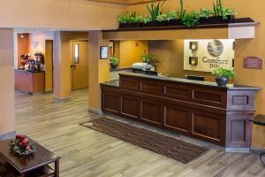 Hotel Comfort Inn Okemos