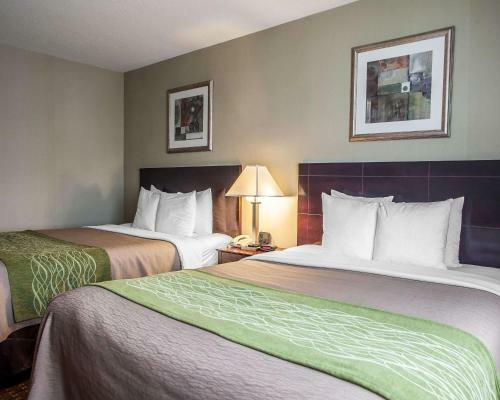 Hotel Comfort Inn Toms River