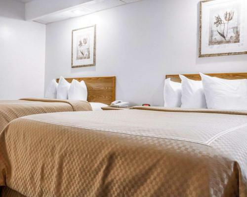 Hotel Rodeway Inn Saco
