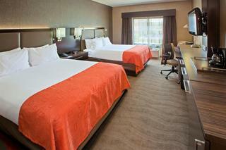 Hotel Holiday Inn Express & Suites Columbus/edinburgh