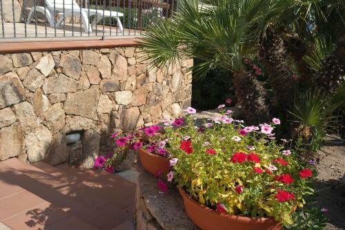 Apartamento Sardinia Blu Residence