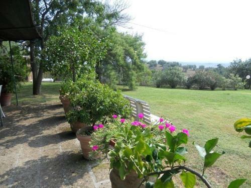 Agroturismo Arnaio