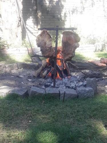 Caba�as Tunita�s