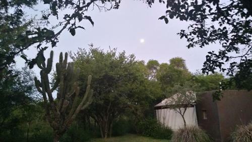 Cauce Yurtas B&B Glamping
