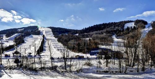 Apartamento Chalet - 620 Chemin Du Hibou -312