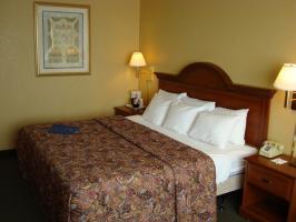 Hotel Best Western Harborside