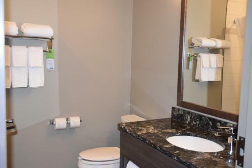 Hotel Days Inn & Suites By Wyndham Warman Legends Centre