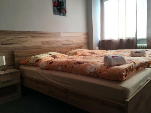 Albergue Penzion Cestar