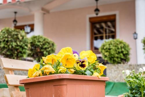 Hostal Vila Vikt�ria