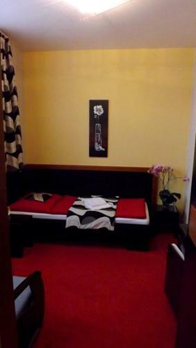 Hostal Guest House Penzi�n Fortuna