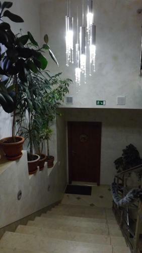 Hostal Guest House Penzi�n Fortuna