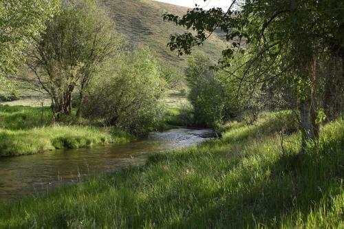 Rye Creek Lodge