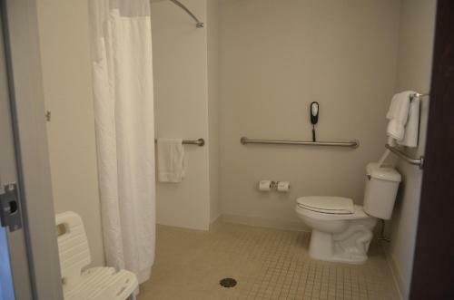 Holiday Inn Express Hotel & Suites Rochester