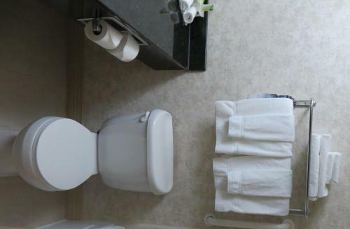 Holiday Inn Express Hotel & Suites Lansing-dimondale