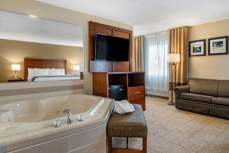 Hotel Comfort Inn & Suites Dimondale