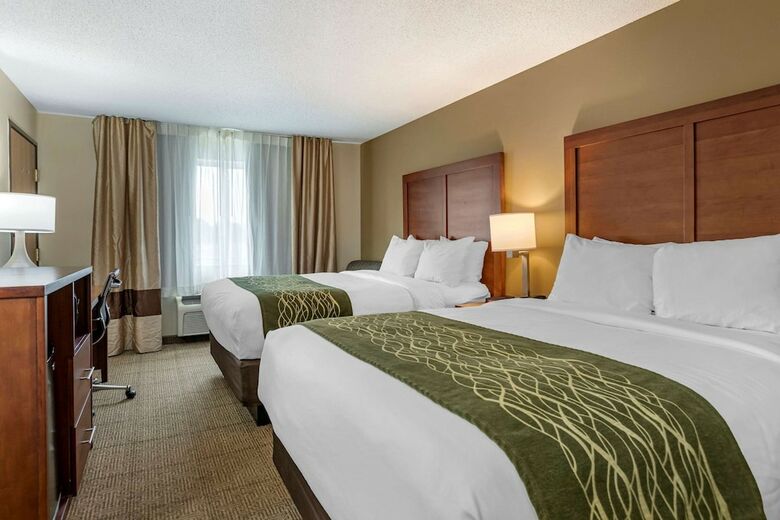 Hotel Comfort Inn & Suites Dimondale