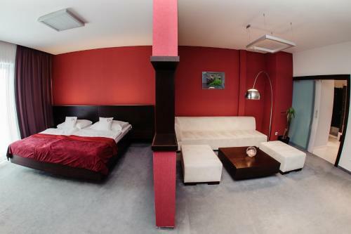Hotel Magnus Tren?�n