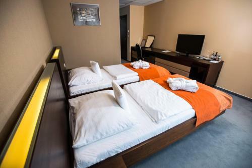 Hotel Magnus Tren?�n