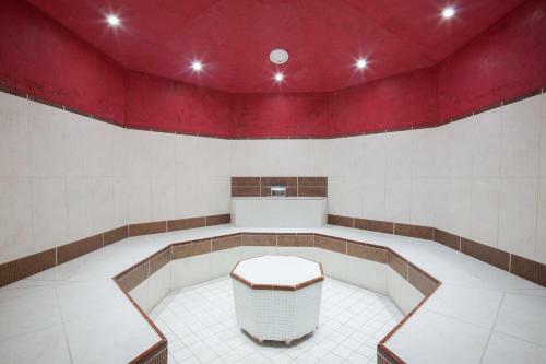 Hotel Magnus Tren?�n