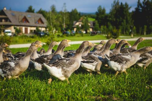 Oravsk� H�j Garden Hotel & Resort