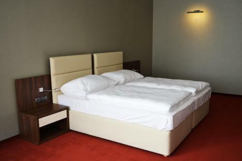Hotel Arena