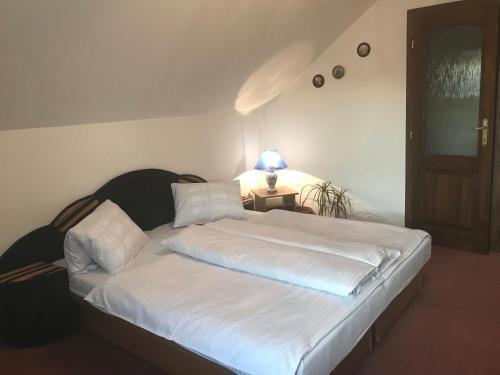 Hostal Penzion ?iko