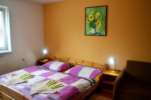 Hostal Penzion Janto?�k
