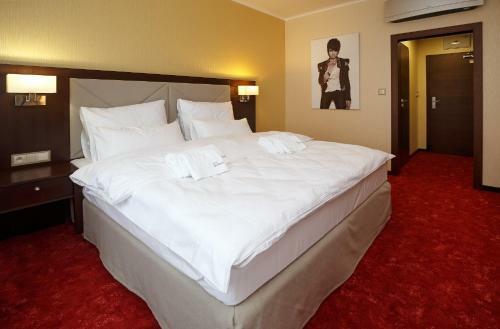 Hotel Bystr�