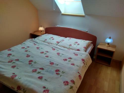 Hostal Penzion Rosnicka Liesek