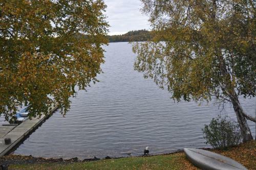 Daniels Lake Lodge B&B