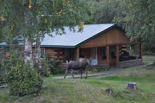 Daniels Lake Lodge Cabins