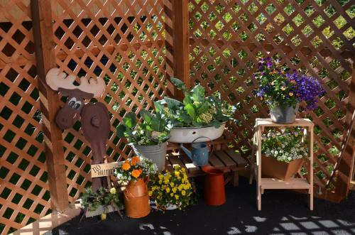Alaska's Lake Lucille Bed & Breakfast
