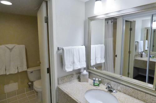 Hotel Radisson Akron/fairlawn