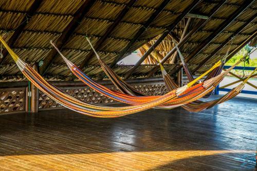 Isla Roots Hostel