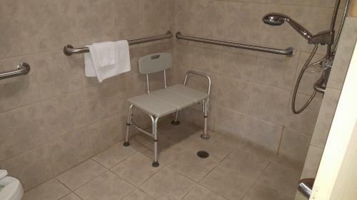 Motel Budgetel Inn And Suites