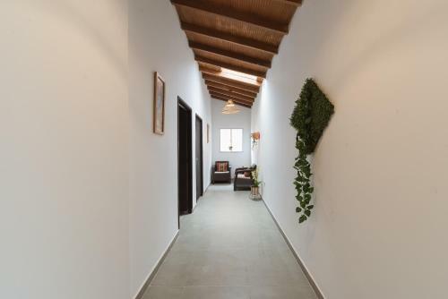 Hostal Living Hotel