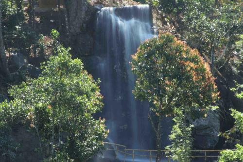 Hotel Vythiri Village