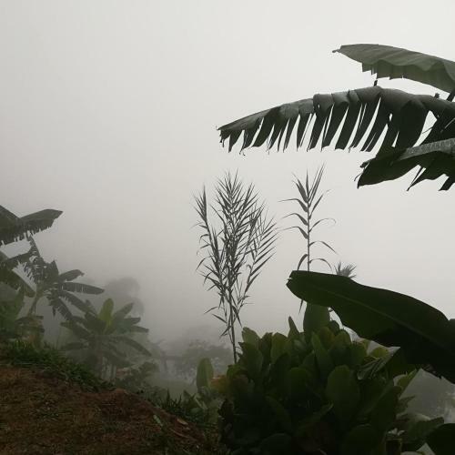 Posada Casa Cafe - Samaland