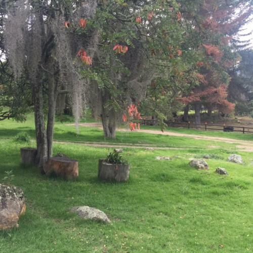 Hacienda La Veracruz