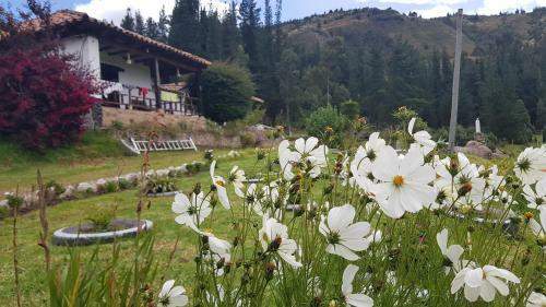 Agroturismo Hacienda Santa Rosita