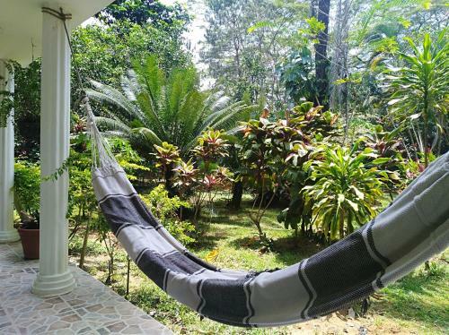 Lodge Tierralinda Finca Cottage