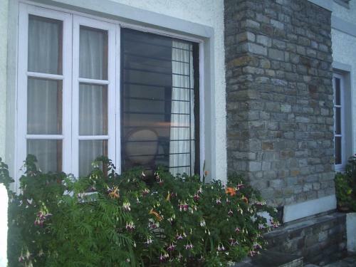 Hotel Cosmos Himalayan Villas