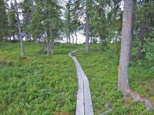 Holiday Home Seitsem�n Savua 3