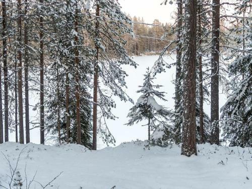Holiday Home Viipusj�rvi 11