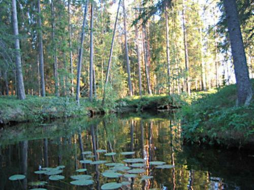 Holiday Home Villa Pajari